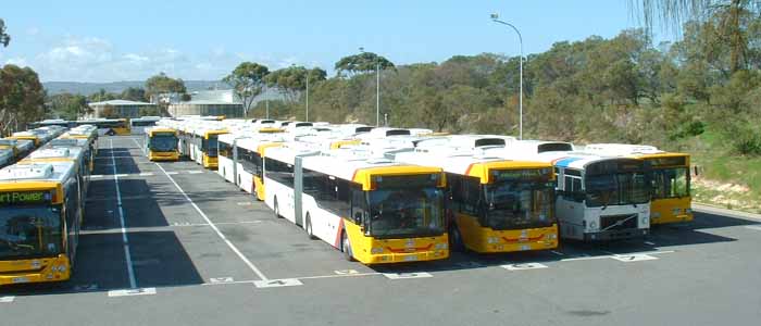 Articulated buses at Port Power bus depot